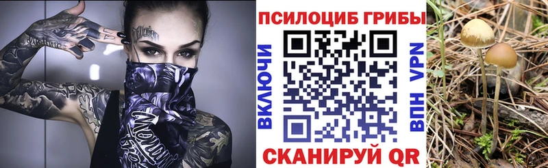 Купить где  Белебей  Галлюциногенные грибы Psilocybe 